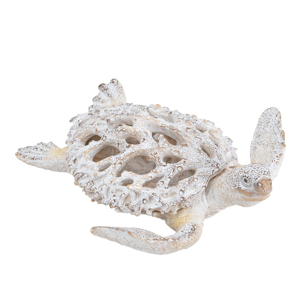 Sea Turtle
